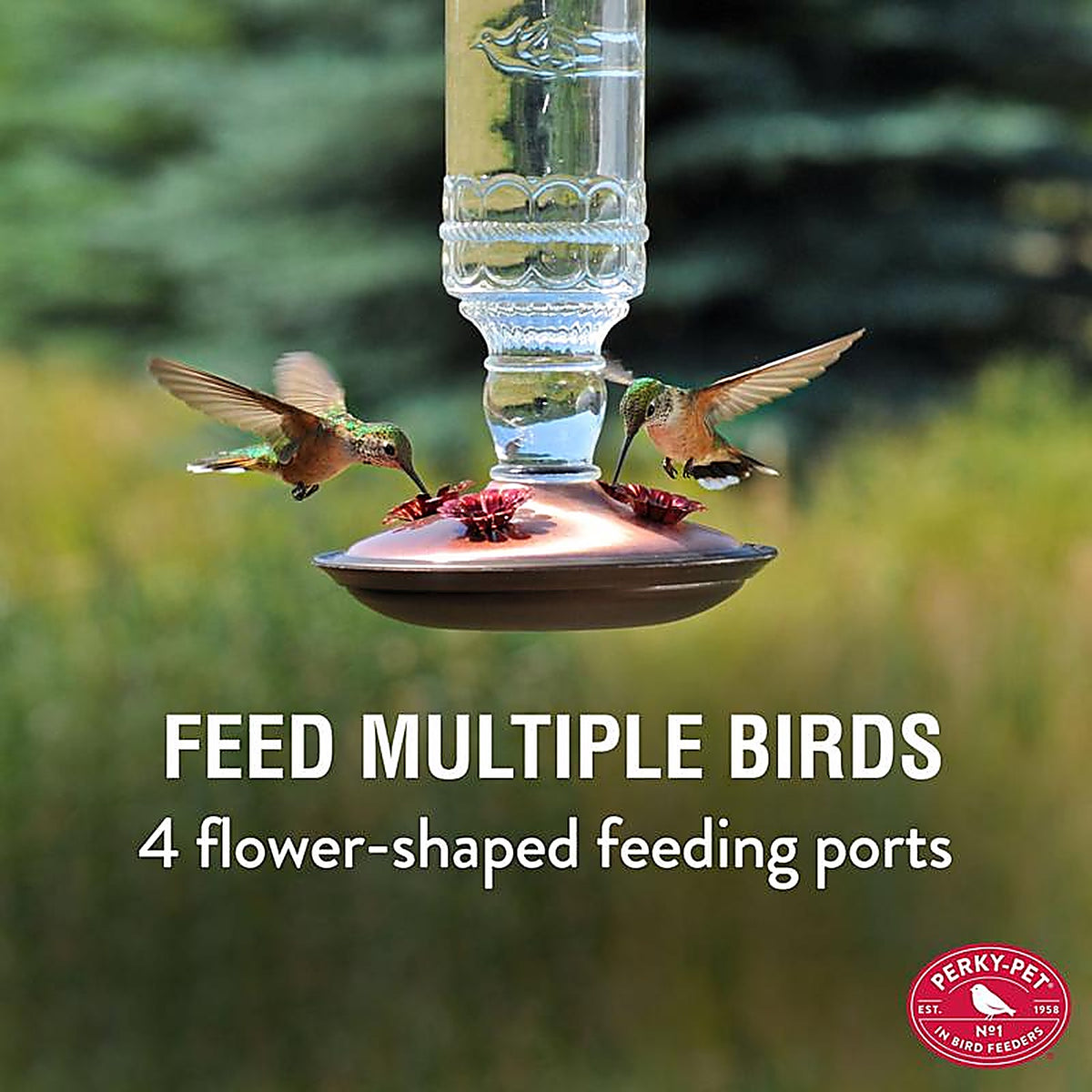 Perky-Pet 8107-2 Hummingbird 10 oz. Glass Nectar Feeder 4 ports