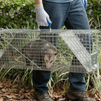 Havahart - 1045 - Large Live Catch Cage Trap for Raccoons 1 Pack