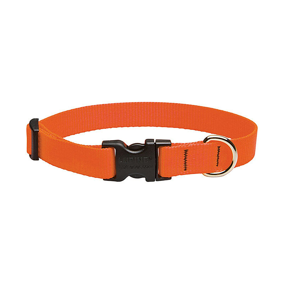 Lupine 52501 Pet Basic Solids Blaze Orange Blaze Orange Nylon Dog Adjustable Collar