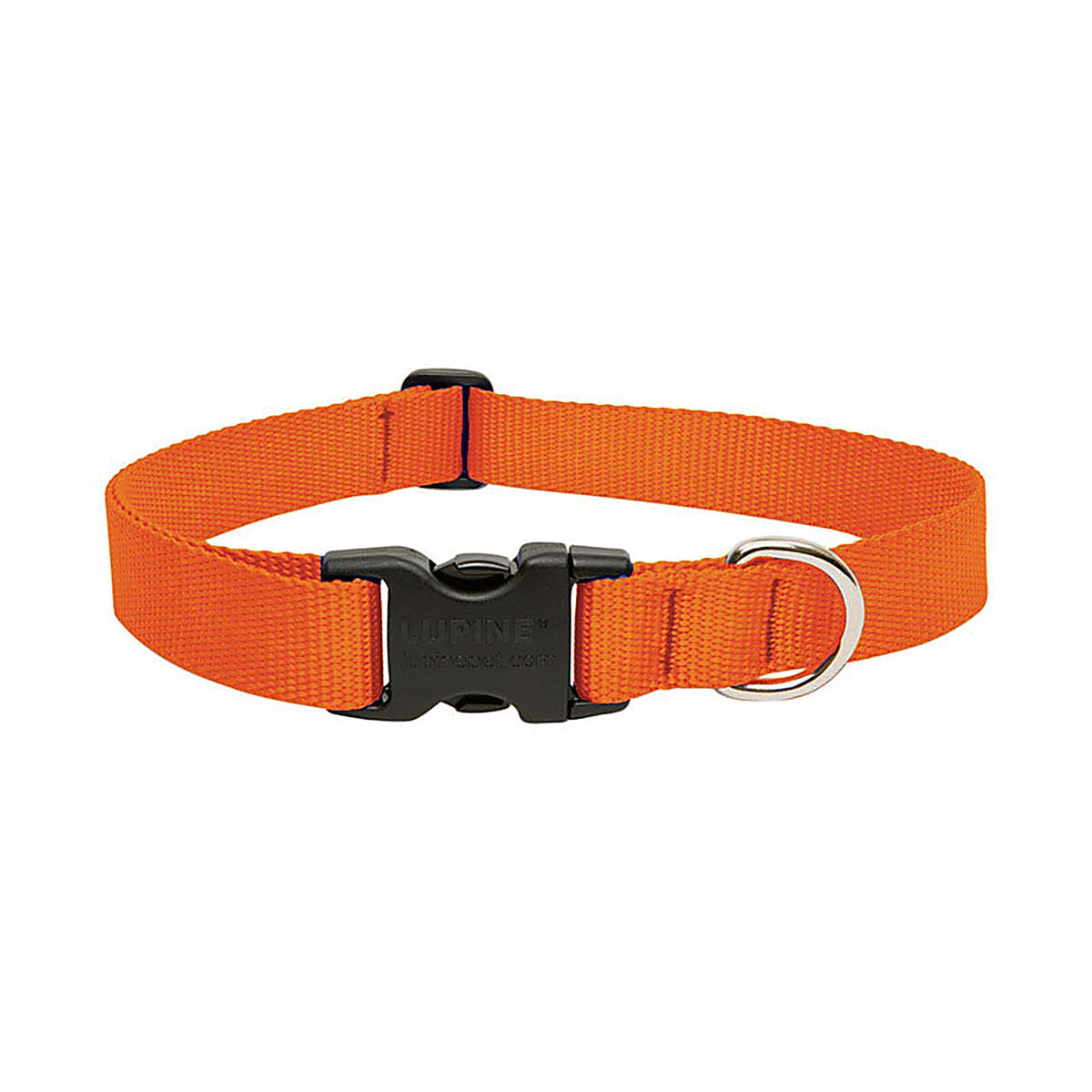 Lupine 52553 Pet Basic Solids Blaze Orange Blaze Orange Nylon Dog Adjustable Collar