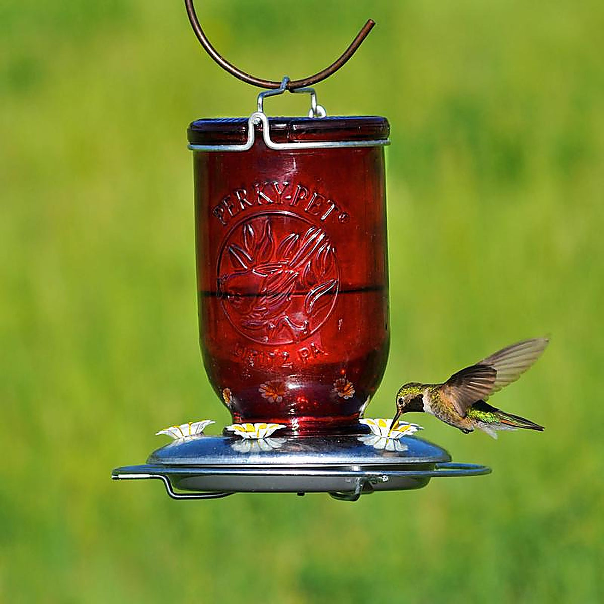 Perky-Pet 786 Hummingbird 32 oz. Glass Nectar Feeder 5 ports