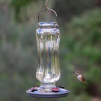 Perky-Pet 8132-2 Hummingbird 16 Glass Nectar Feeder 4 ports