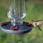 Perky-Pet 8132-2 Hummingbird 16 Glass Nectar Feeder 4 ports