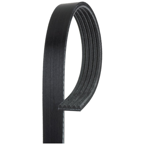 ACDelco 5K836 Gold Standard V-Ribbed Serpentine Belt 88932646