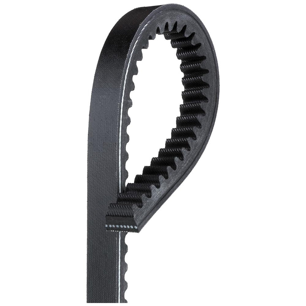 ACDelco T22434 Gold Truck and Bus Notched V-Belt 88933259