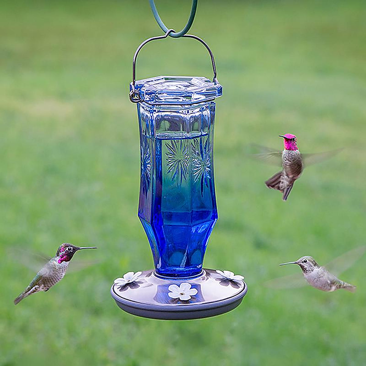 Perky-Pet 8129-2 Hummingbird 16 oz. Glass Nectar Feeder 4 ports