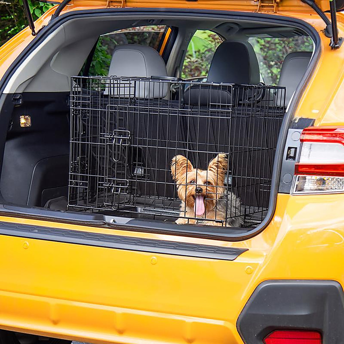Pet Essentials - 6110PG - Small Steel Dog Crate Black 20 In. H X 18 In. W X 24 In. D