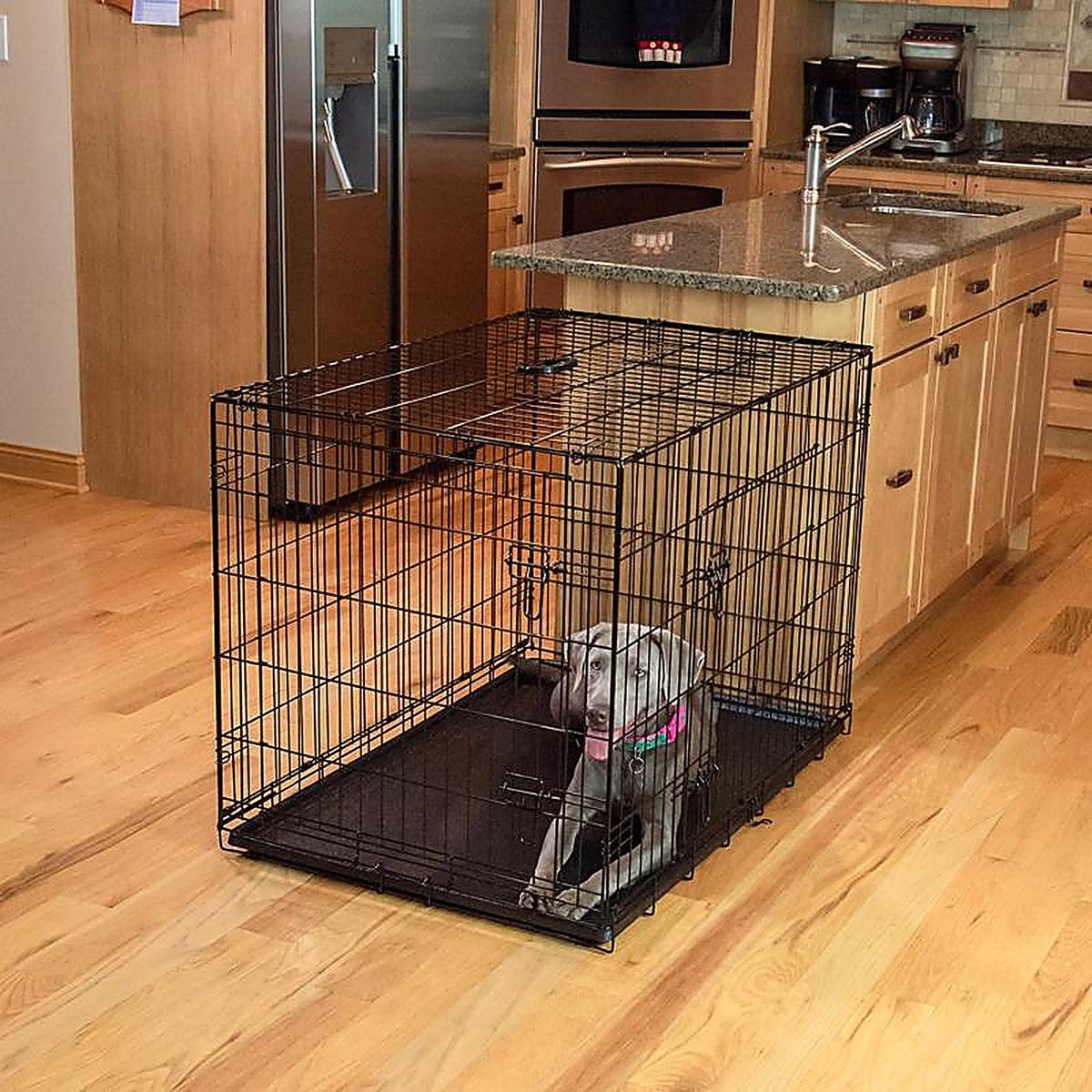 Pet Essentials - 6109PG - Medium Steel Dog Crate Black 26 In. H X 24 In. W X 36 In. D