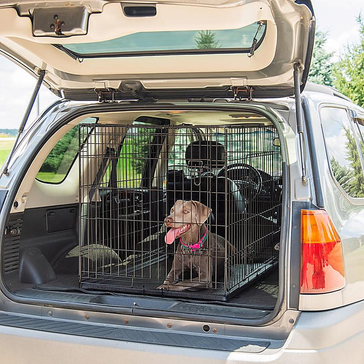 Pet Essentials - 6109PG - Medium Steel Dog Crate Black 26 In. H X 24 In. W X 36 In. D