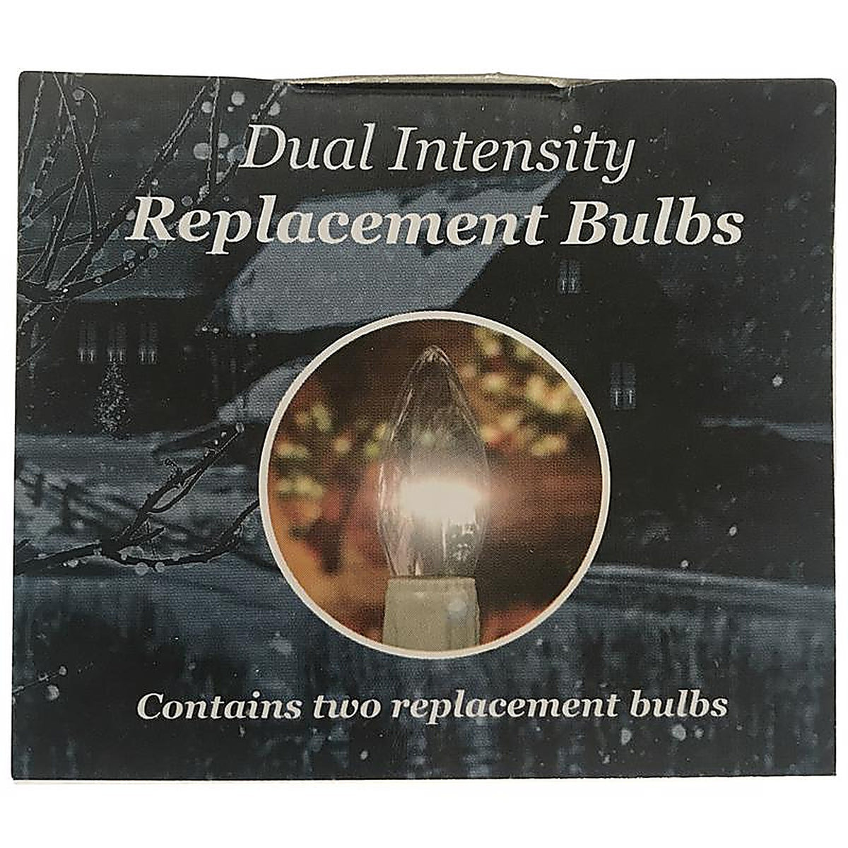 Celestial Lights - P-1935-2R-I - None LED Warm White 2 CT Replacement Replacement Bulb