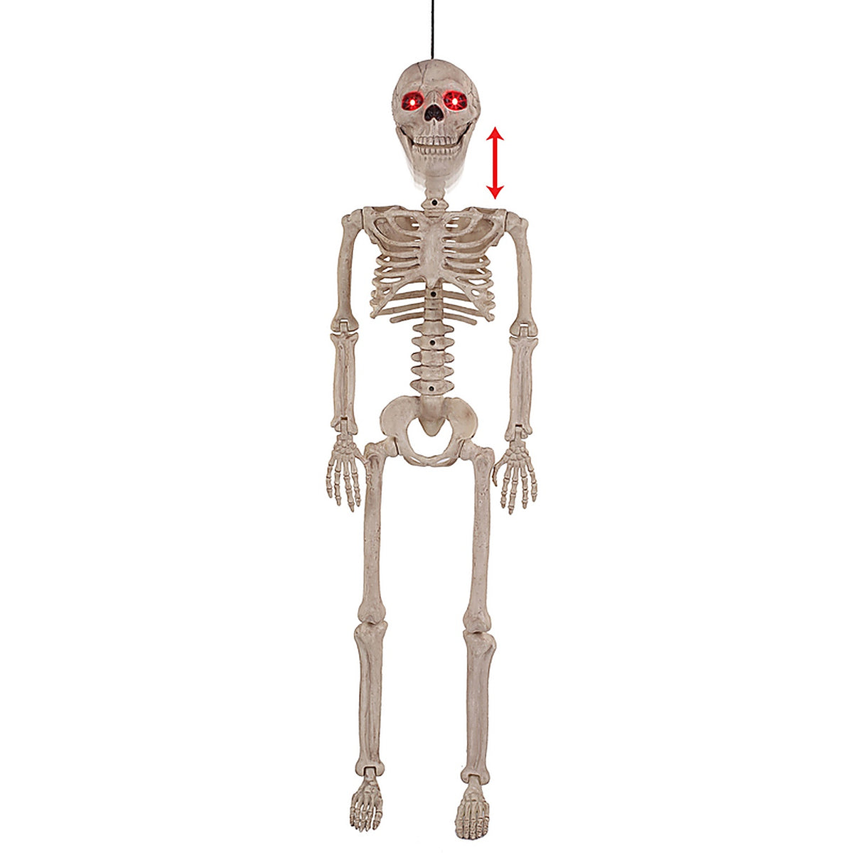 Seasons W81897 Prelit Animated Human Skeleton Hanging Dcor