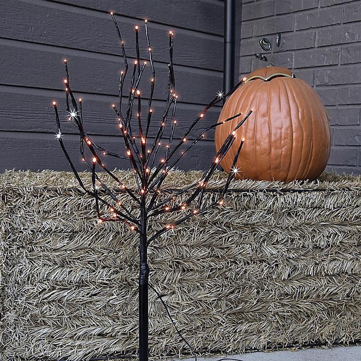 Celebrations LBST100BORTWA Halloween LED Prelit Burst Halloween Decor
