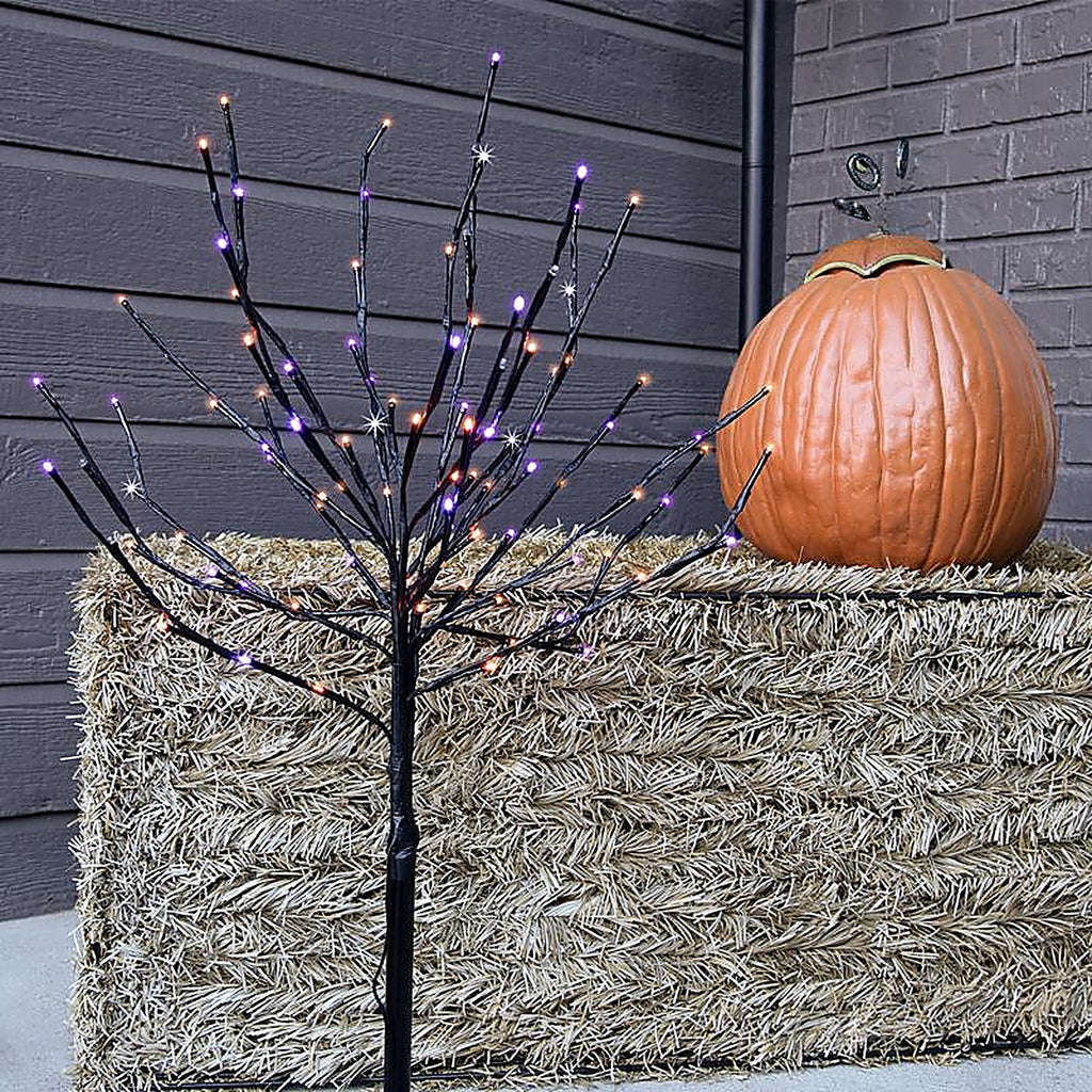 Celebrations LBST100BPLORTWA Halloween LED Prelit Burst Halloween Decor
