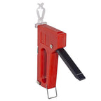 Celebrations 73059-25COSACP Lighting Accessory 25 ct