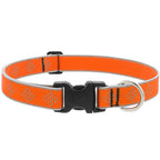 LupinePet - 48352 - Reflective Orange Diamond Nylon Dog Adjustable Collar