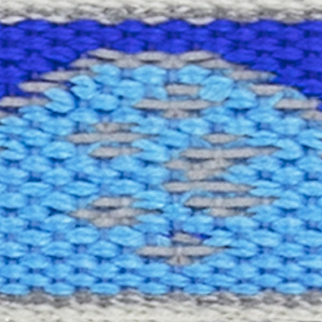 LupinePet - 48459 - Reflective Blue Paws Nylon Dog Leash