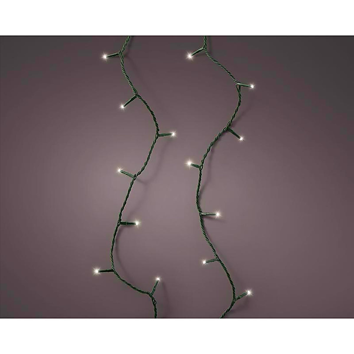 Celebrations 9922034 Gold LED Clear/Warm White 250 ct Christmas Lights 61.35 ft.