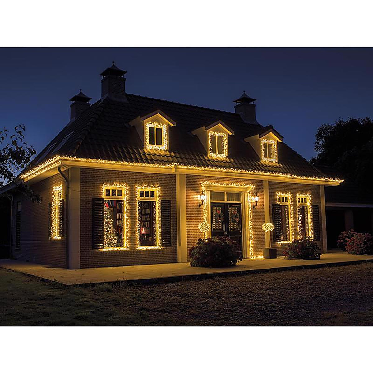 Celebrations 9922034 Gold LED Clear/Warm White 250 ct Christmas Lights 61.35 ft.