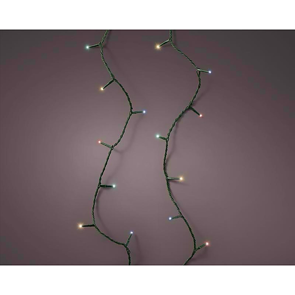Celebrations 9922035 Gold LED Multicolored 250 ct Christmas Lights 61.35 ft.