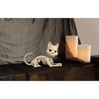 Seasons W82196 5.125 in. Skeleton Cat Halloween Decor