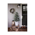 Celebrations 9922056 4 ft. Full LED 80 ct Misty Allison Pine Christmas Tree