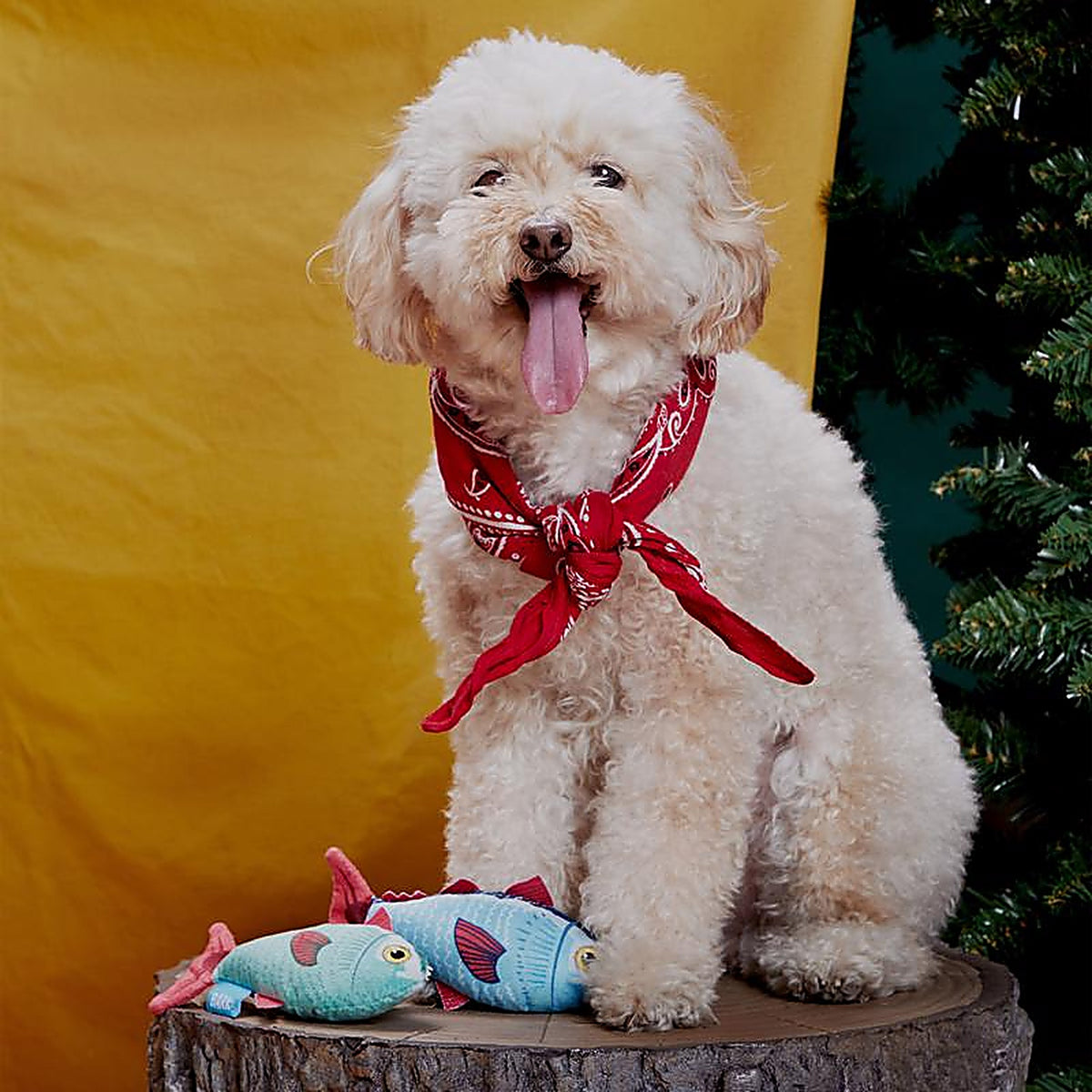 Bark 706573 Blue/Red Plush Mike & Mike The Trout Twins Dog Toy 2 pk