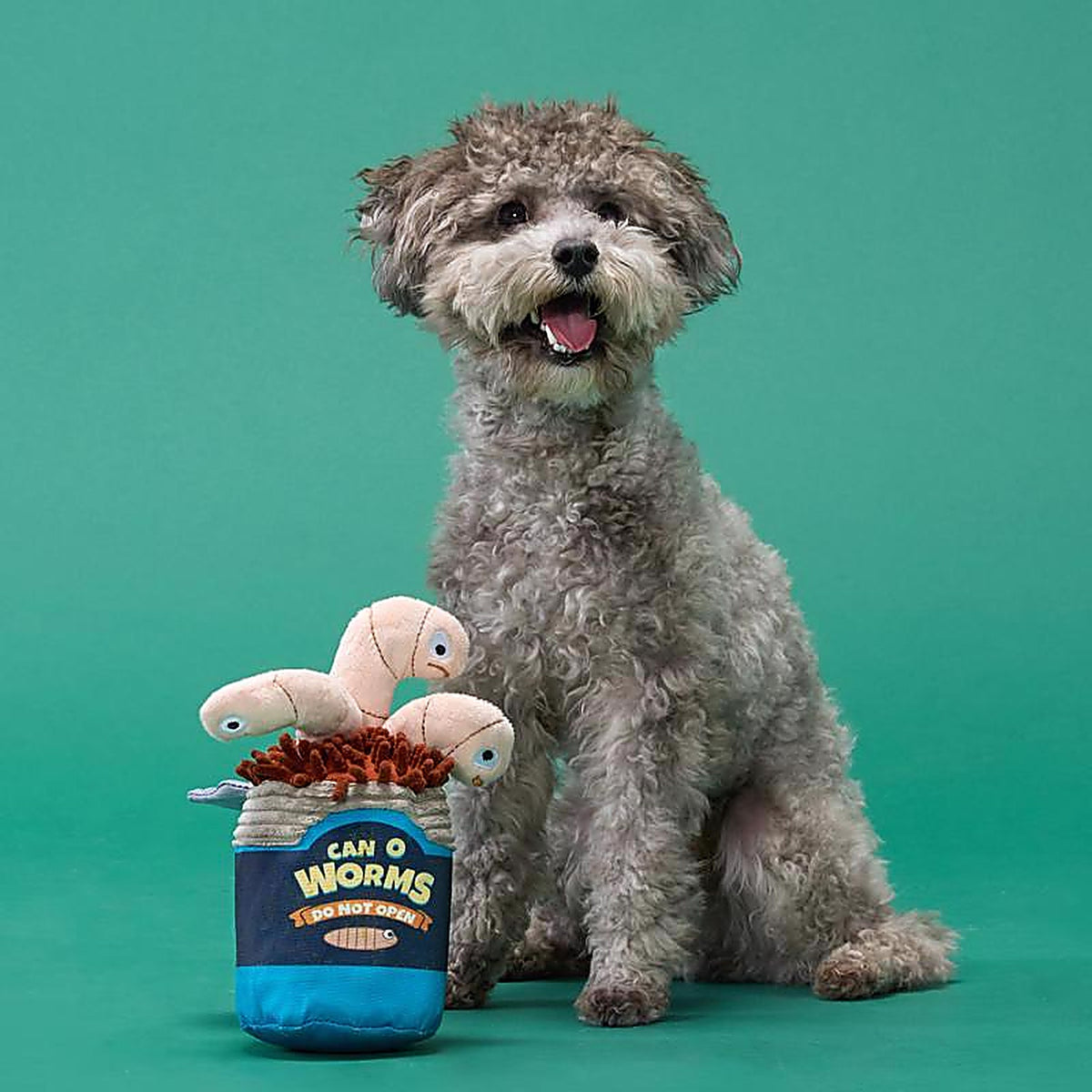 Bark 207733 Multicolored Plush Live Bait Bites Dog Toy 1 pk