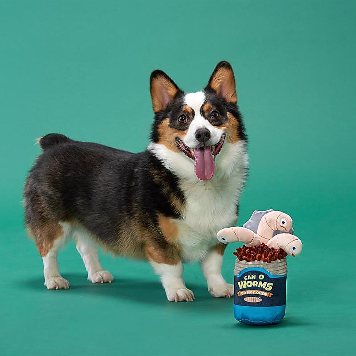 Bark 207733 Multicolored Plush Live Bait Bites Dog Toy 1 pk