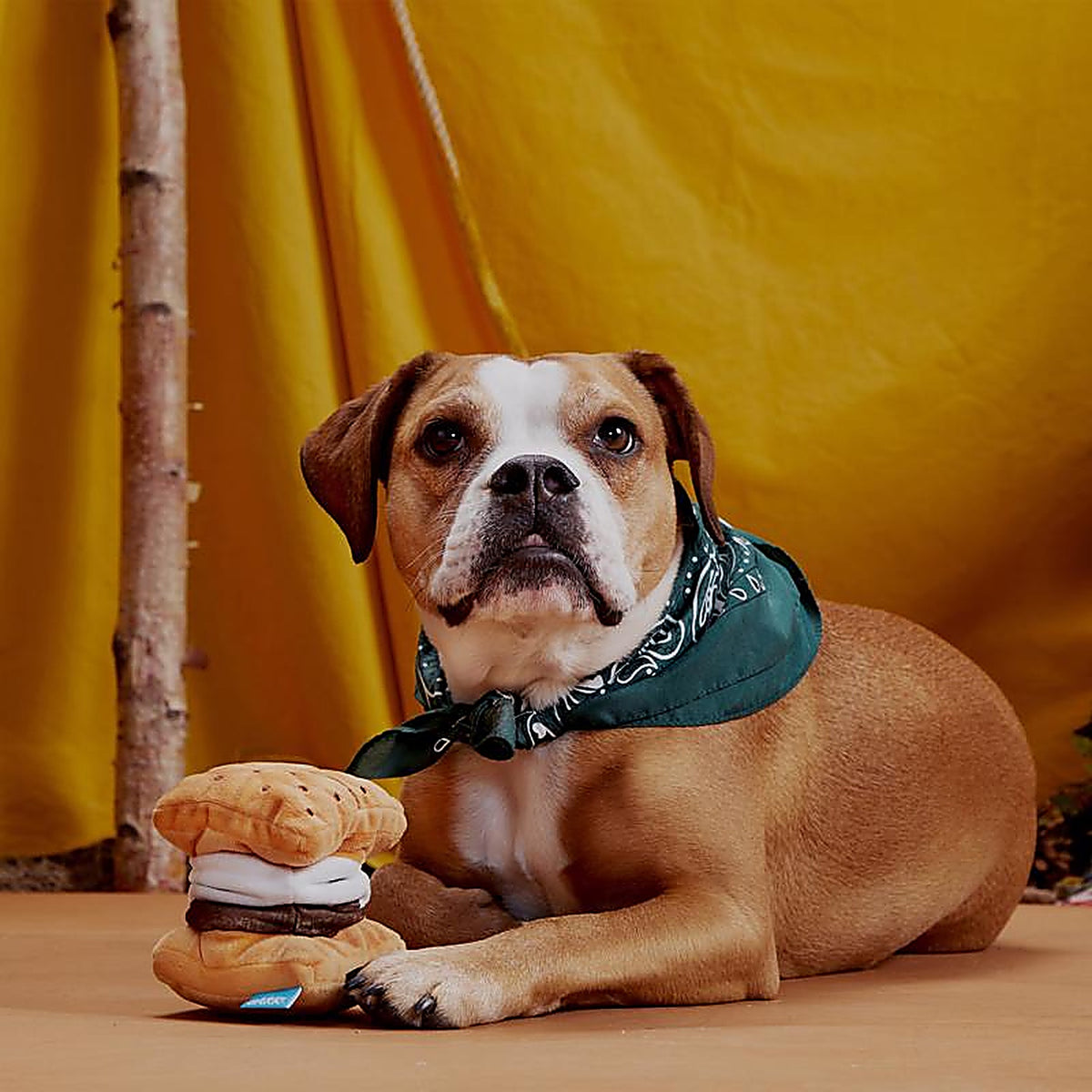 Bark 706579 Multicolored Plush More Smores Dog Toy