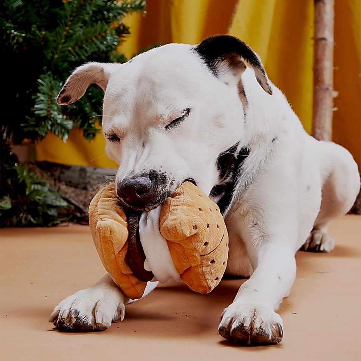 Bark 706579 Multicolored Plush More Smores Dog Toy