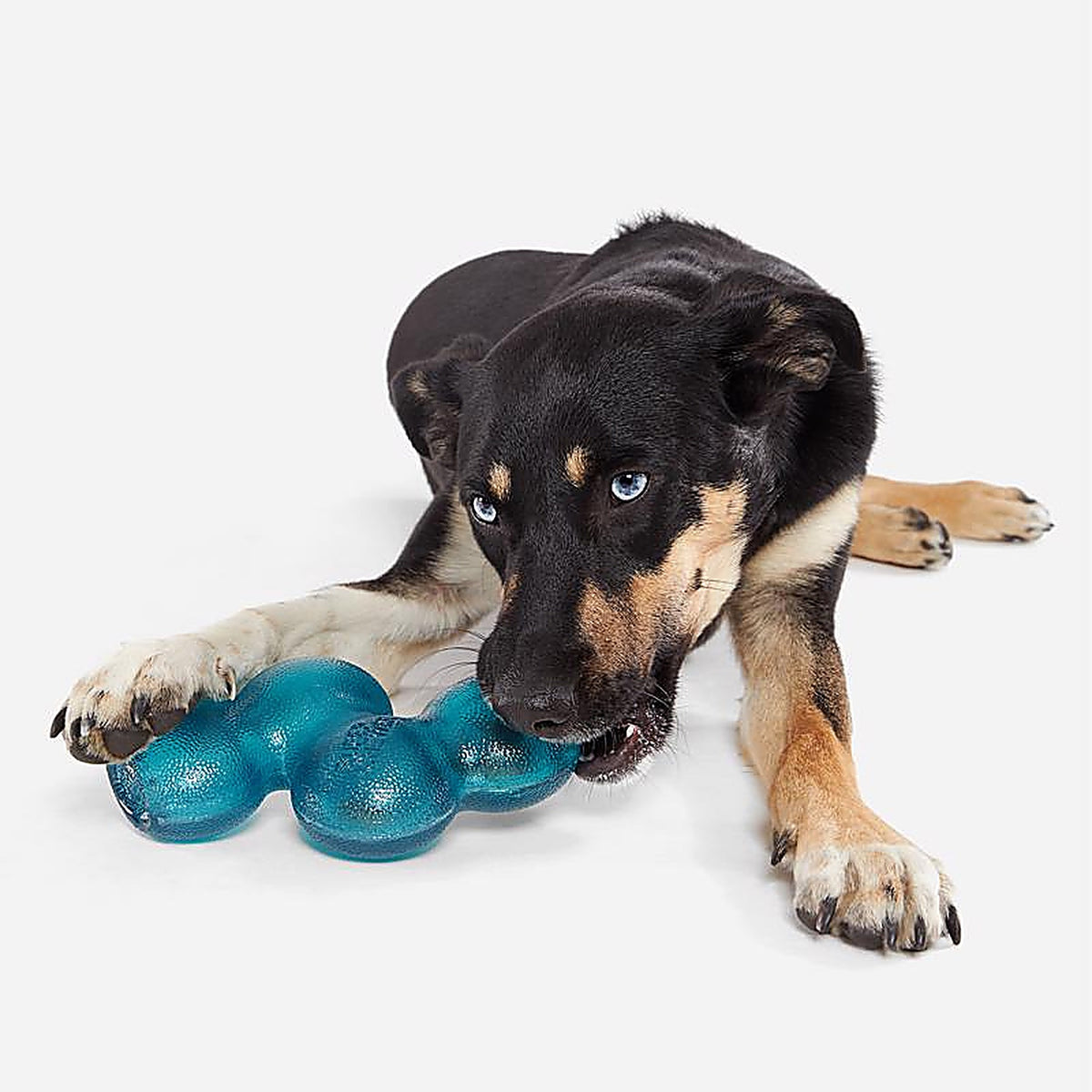 Bark 212018 Blue Plush Treat Giver River Dog Toy 1 pk