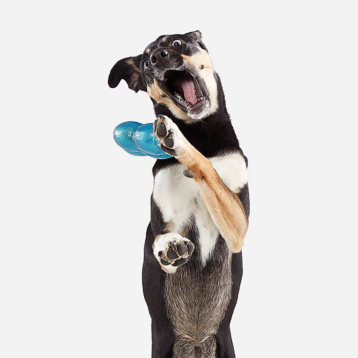 Bark 212018 Blue Plush Treat Giver River Dog Toy 1 pk
