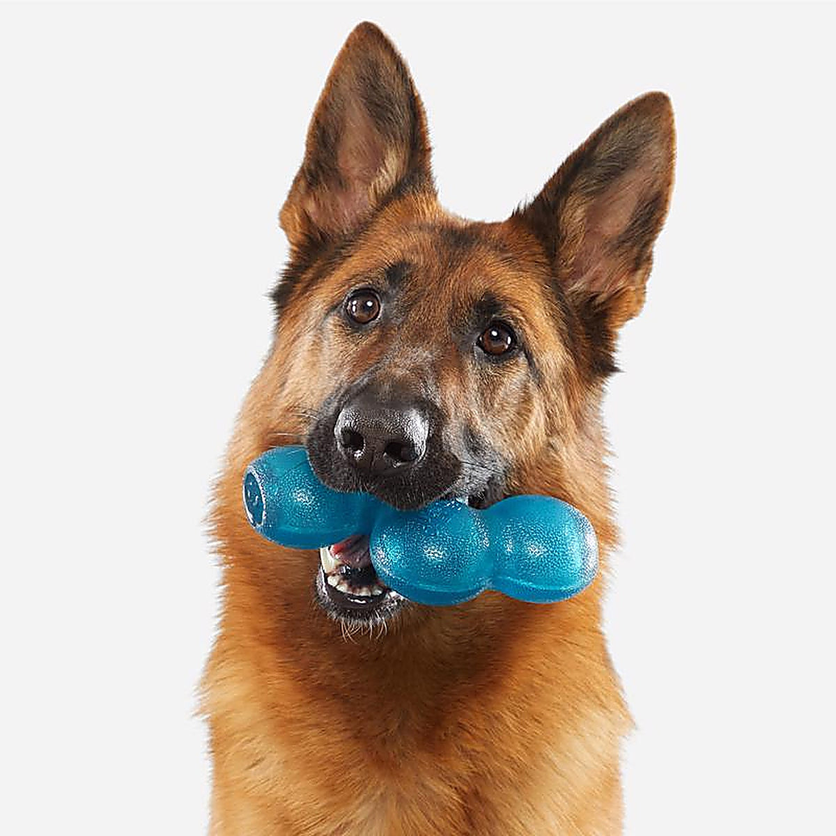 Bark 212018 Blue Plush Treat Giver River Dog Toy 1 pk