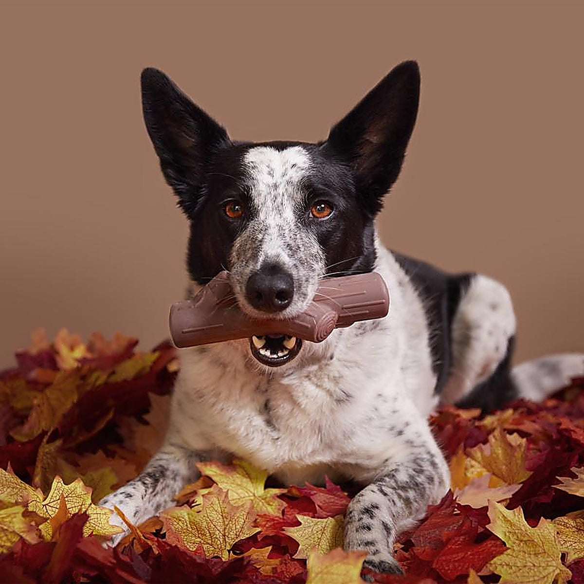 Bark 212021 Brown Nylon Fall Fetch Stick Dog Toy 1 pk