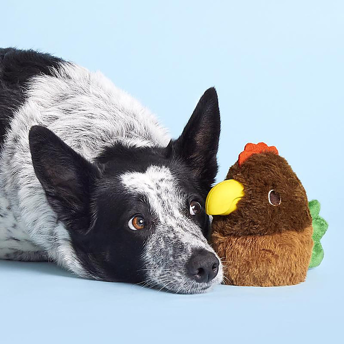 Bark 209214 Rubber Hen Dog Toy 1 pk