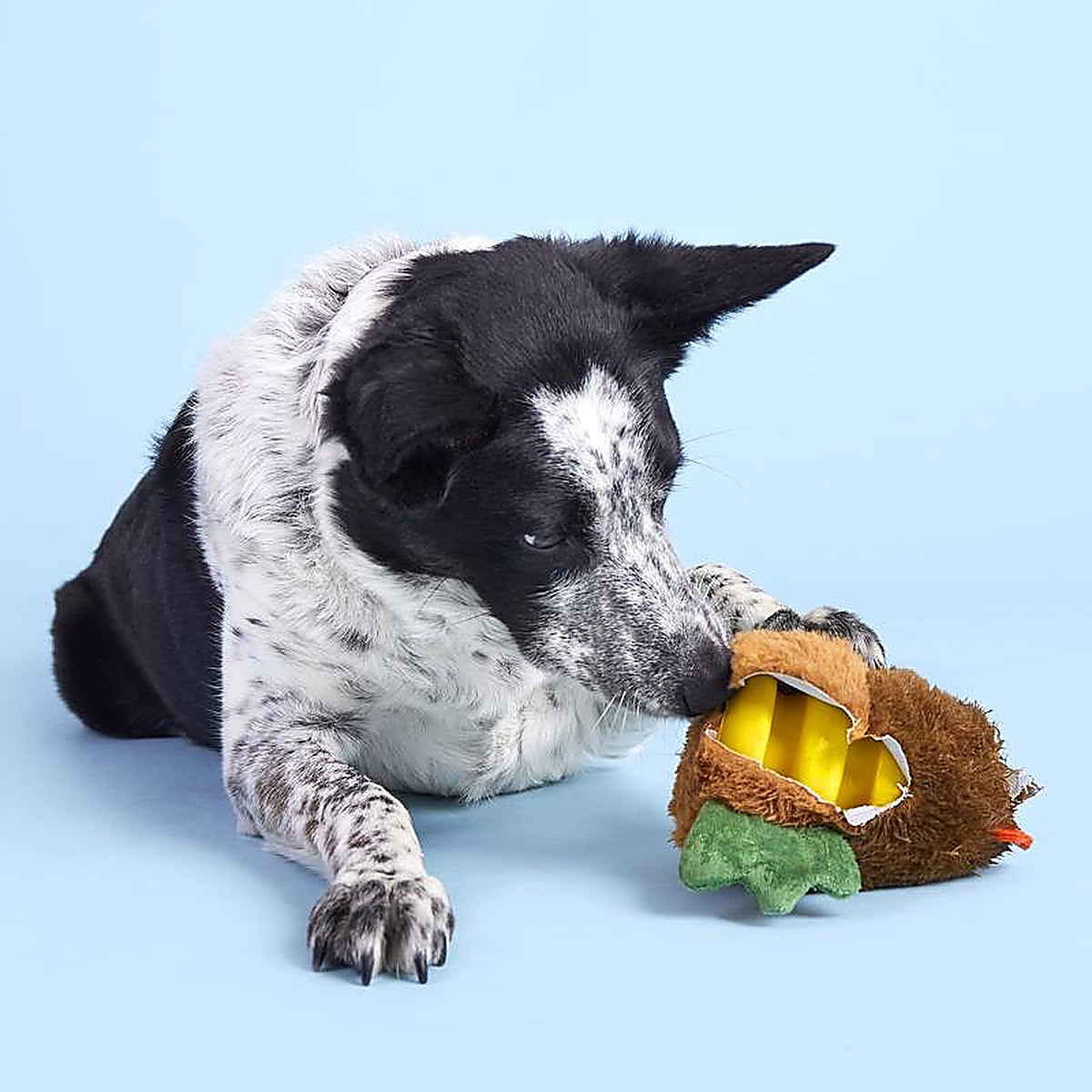 Bark 209214 Rubber Hen Dog Toy 1 pk