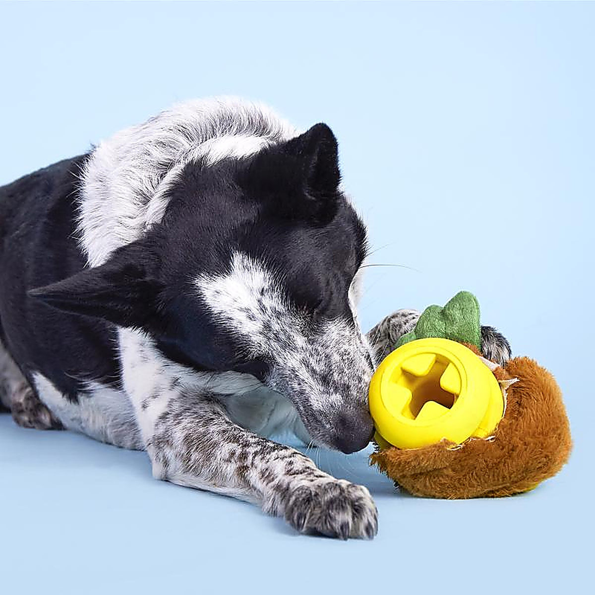 Bark 209214 Rubber Hen Dog Toy 1 pk
