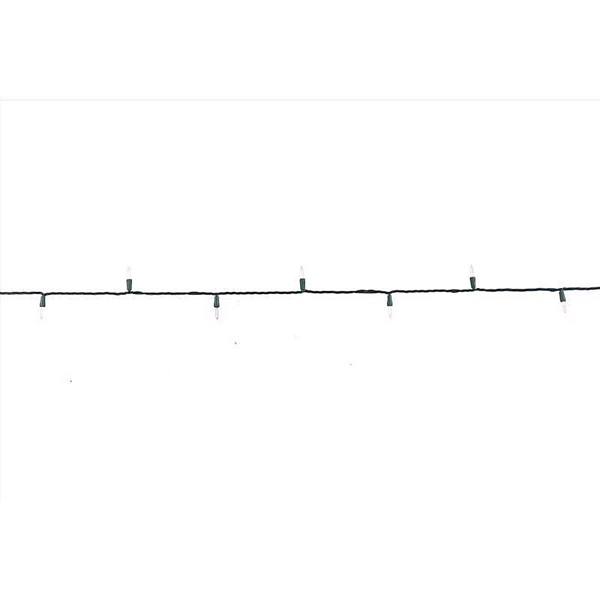 Celebrations - T550WW6A - Platinum LED T5 Warm White 50 CT String Christmas Lights 25 Ft.