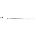 Celebrations - T550WWSA - Platinum LED T5 Warm White 50 CT String Christmas Lights 25 Ft.