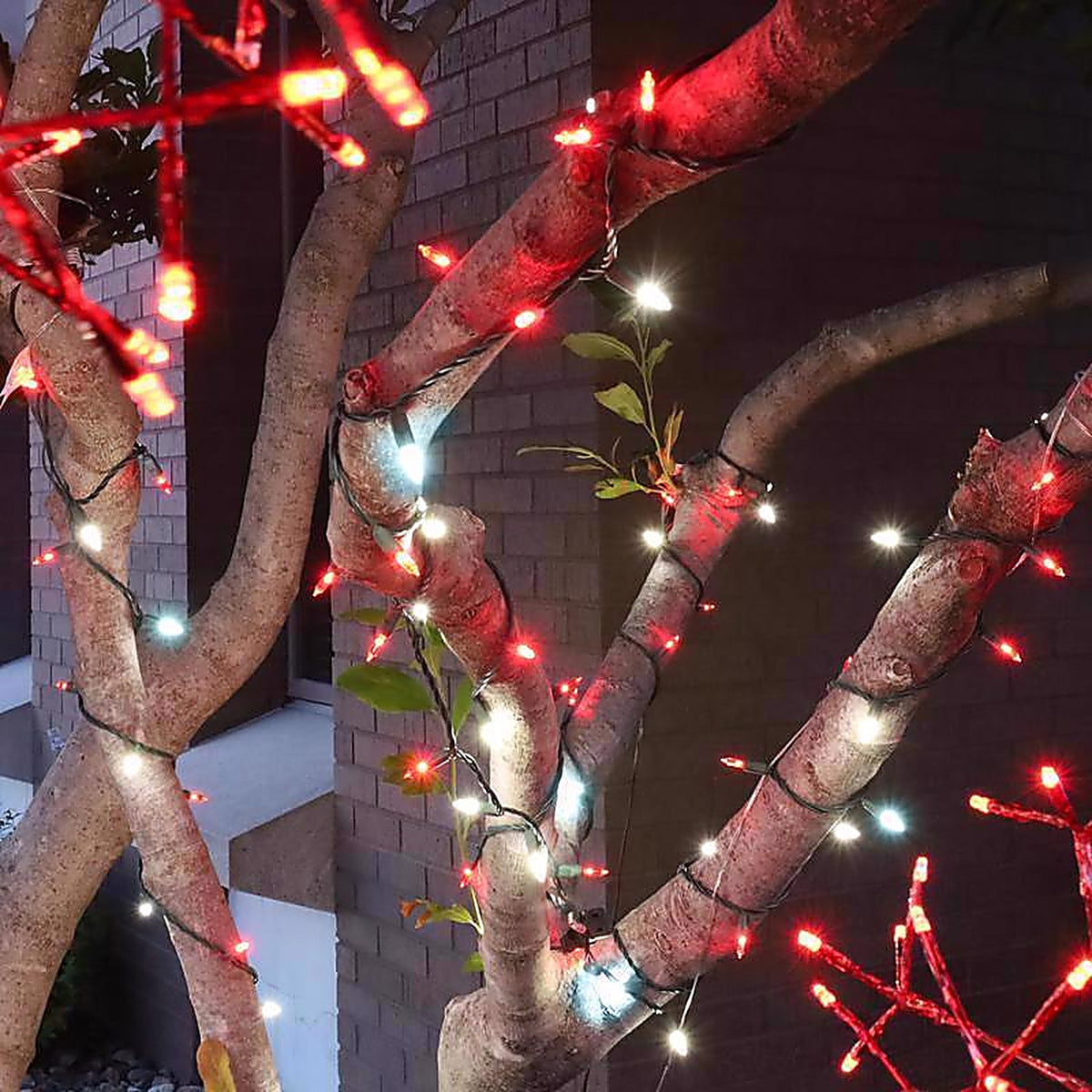 Celebrations - T550CCSA - Platinum LED T5 Red/White 50 CT String Christmas Lights 25 Ft.