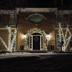 Celebrations - C650WWA - Platinum LED C6 Warm White 50 CT String Christmas Lights 25 Ft.