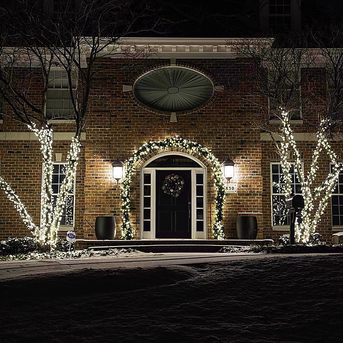 Celebrations - C650WWA - Platinum LED C6 Warm White 50 CT String Christmas Lights 25 Ft.