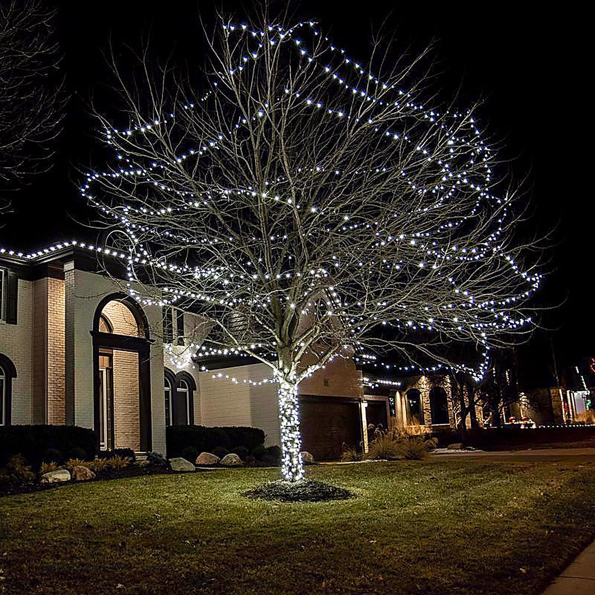 Celebrations - C650PWA - Platinum LED C6 Pure White 50 CT String Christmas Lights 25 Ft.