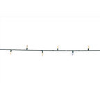Celebrations - C650WWSA - Platinum LED C6 Warm White 50 CT String Christmas Lights 25 Ft.