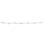 Celebrations - C925FWWA - Platinum LED C9 Warm White 25 CT String Christmas Lights 25 Ft.
