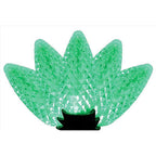 Celebrations - C925FGRA - Platinum LED C9 Green 25 CT String Christmas Lights 25 Ft.