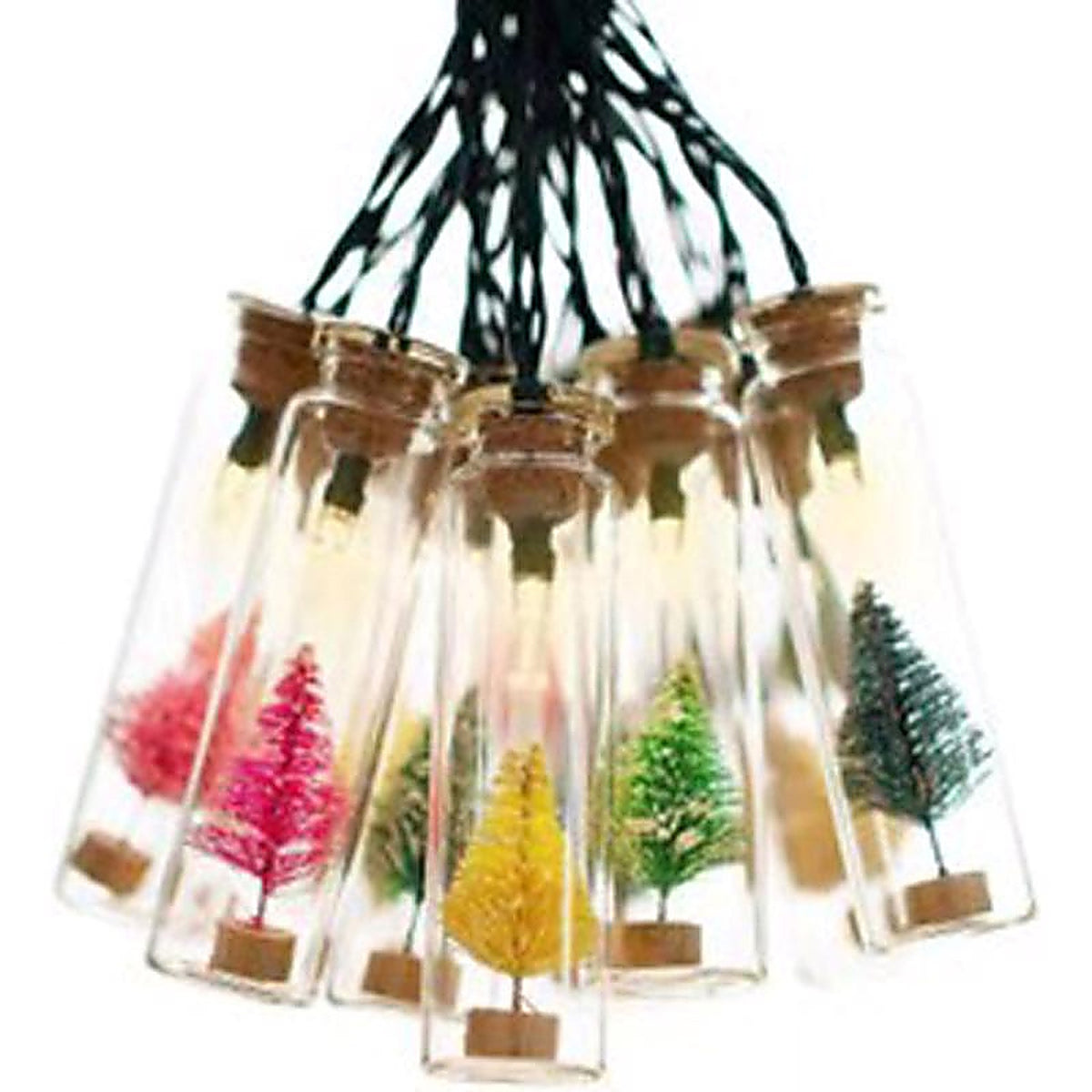 Sienna - G2FF6952 - LED Warm White 10 CT String Christmas Lights 3 Ft.