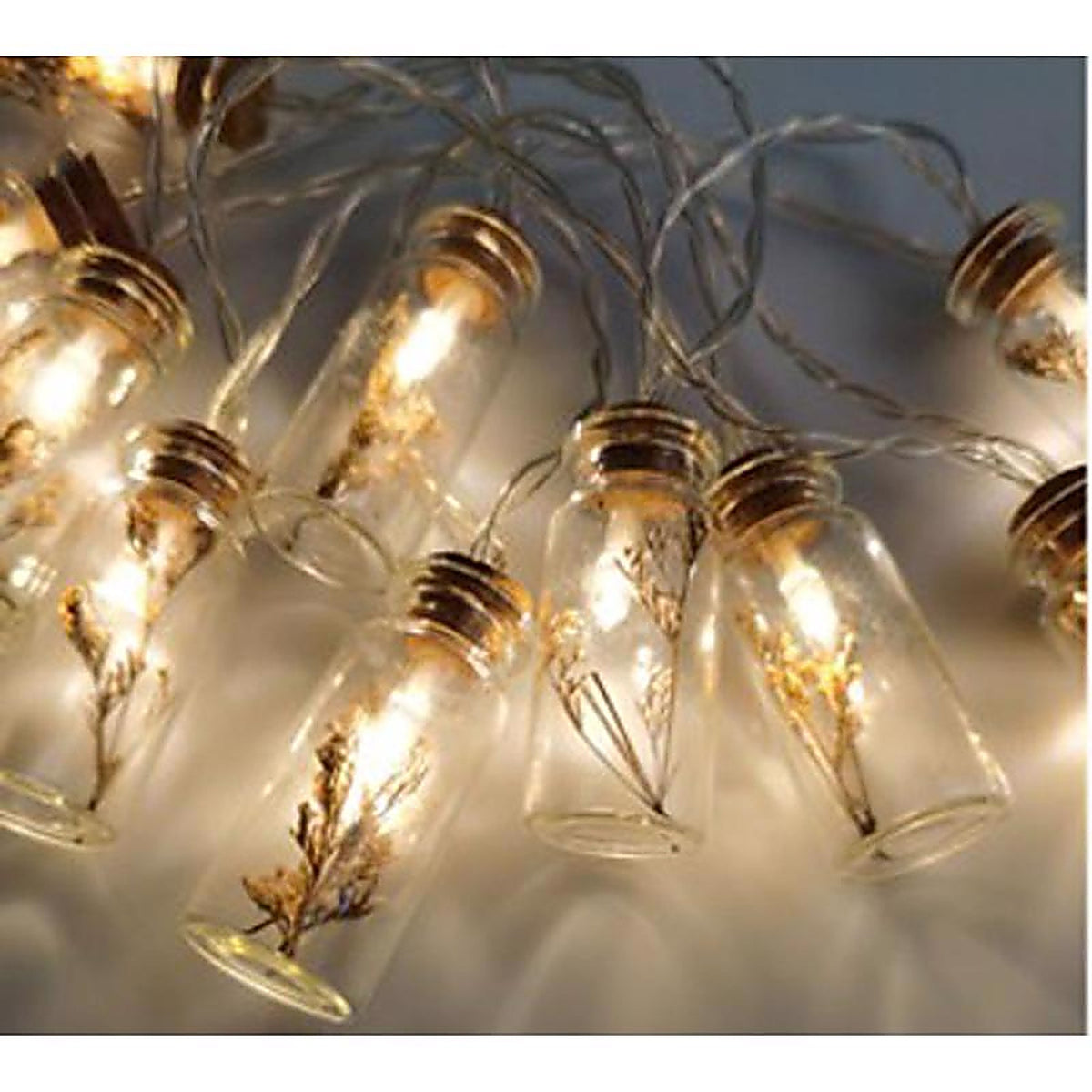 Sienna - G2FF6953 - LED Warm White 10 CT String Christmas Lights 3 Ft.
