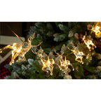 Celebrations - 774325-1 - LED Micro/5mm Warm White 10 CT String Christmas Lights 17.72 Ft.