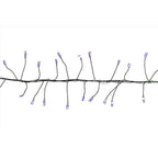 Celebrations - BSCCX250BLA - LED Big Seed Cluster Blue 250 CT String Christmas Lights 10 Ft.